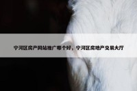 宁河区房产网站推广哪个好，宁河区房地产交易大厅