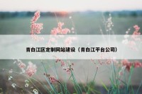 青白江区定制网站建设（青白江平台公司）
