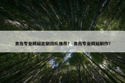 青岛专业网站定制团队推荐？ 青岛专业网站制作？