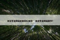 青岛专业网站定制团队推荐？ 青岛专业网站制作？