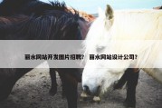 丽水网站开发图片招聘？ 丽水网站设计公司？