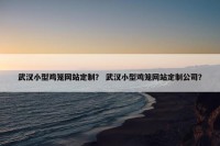 武汉小型鸡笼网站定制？ 武汉小型鸡笼网站定制公司？