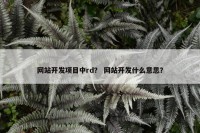网站开发项目中rd？ 网站开发什么意思？