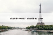 武汉抖音seo课程？ 武汉抖音推广公司？