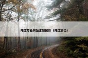 阳江专业网站定制团队（阳江定位）