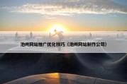 池州网站推广优化技巧（池州网站制作公司）