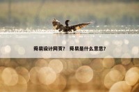 舜易设计网页？ 舜易是什么意思？
