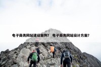 电子商务网站建设案例？ 电子商务网站设计方案？