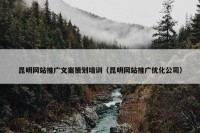 昆明网站推广文案策划培训（昆明网站推广优化公司）