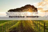 网站开发专用浏览器？ 网页浏览器开发？
