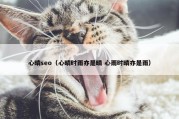 心晴seo（心晴时雨亦是晴 心雨时晴亦是雨）