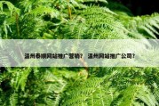 温州泰顺网站推广营销？ 温州网站推广公司？