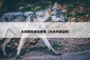 大庆网站建设管理（大庆市建设网）