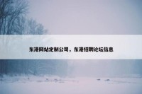 东港网站定制公司，东港招聘论坛信息