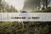 seo页面优化指南？ seo 页面优化？