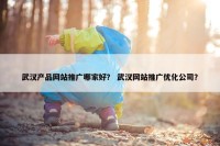 武汉产品网站推广哪家好？ 武汉网站推广优化公司？