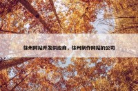 徐州网站开发供应商，徐州制作网站的公司