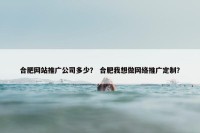 合肥网站推广公司多少？ 合肥我想做网络推广定制？