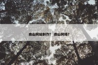 南山网站制作？ 南山网络？