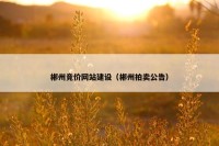 郴州竞价网站建设（郴州拍卖公告）