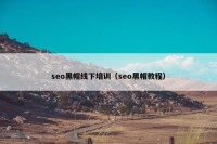 seo黑帽线下培训（seo黑帽教程）