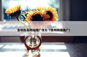 吉林出名网站推广优化（吉林网络推广）