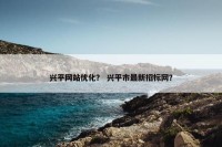 兴平网站优化？ 兴平市最新招标网？