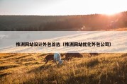 株洲网站设计外包首选（株洲网站优化外包公司）