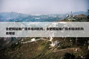 合肥网站推广技术培训机构，合肥网站推广技术培训机构有哪些