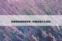 知春路商城网站定制（知春路是什么意思）