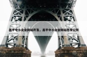 昌平中小企业网站开发，昌平中小企业网站开发公司