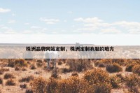 株洲品牌网站定制，株洲定制衣服的地方