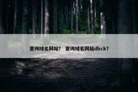 查询域名网站？ 查询域名网站dbck？