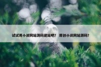 试试用小说网站源码建站吧？ 原创小说网站源码？