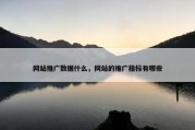 网站推广数据什么，网站的推广指标有哪些