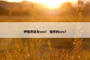 种程序适合seo？ 程序的seo？