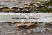 物流网站如何优化，物流优化方法