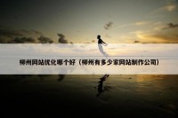 柳州网站优化哪个好（柳州有多少家网站制作公司）