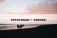 粤海专业外贸网站推广？ 粤海跨境电商？