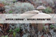 如何在网上做网站推广，如何在网上做网站推广赚钱