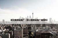 湛江做网站推广（湛江做网站推广赚钱吗）