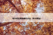 句子优化网站图片大全（句子网址）