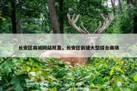 长安区商城网站开发，长安区新建大型综合商场
