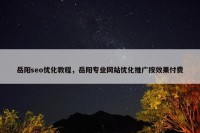 岳阳seo优化教程，岳阳专业网站优化推广按效果付费