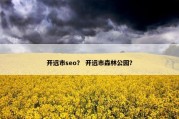 开远市seo？ 开远市森林公园？