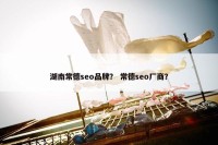湖南常德seo品牌？ 常德seo厂商？