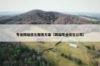 专业网站优化服务方案（网站专业优化公司）