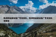 株洲网站建设推广专家团队，株洲网站建设推广专家团队有哪些