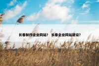 长春制作企业网站？ 长春企业网站建设？