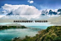 苏州优化网站哪家好，苏州优化软件